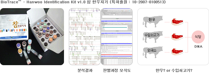 Bio Trace - Hanwoo Identification Kit v1.0 참 한우지기(특허출원:10-2007-0100513) : 분석결과, 판별과정모식도, 한우? or 수입쇠고기?