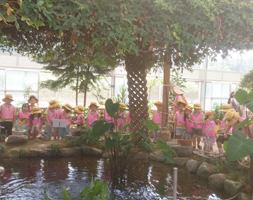 식물원 관람 중인 어린이들 사진