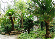 열대식물원