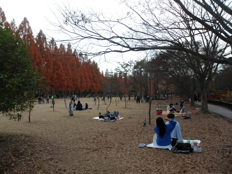 9. 수목원을 찾아 깊어가는 가을을 즐기는 관람객들