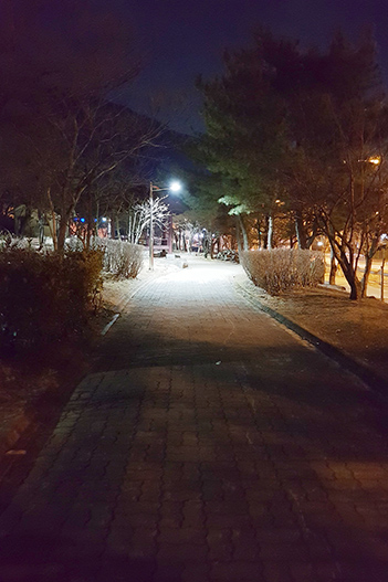 명예기자 박슬기덕정공원 무장애 나눔길을 소개