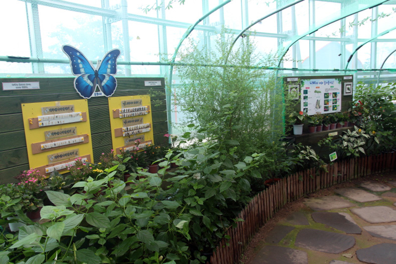 의령곤충생태학습관 내 온실 속 나비 정원



