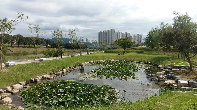 생태공원 연못, 





