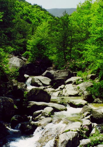 금원산자연휴양림 의 파일 이미지