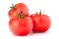 토마토의 파일 이미지1