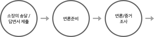 소장의 송달/답변서 제출→변론준비→변론/증거 조사