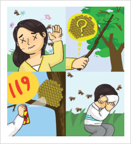 벌초를 할 경우에는 긴 지팡이나 나무로 사전에 벌집이 있는지 확인한 경우 벌집이 있을 경우 살충체(스프레이)를 사용하여 벌집 제거 혹은 119에 신고 하도록합니다.