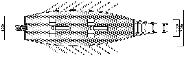 Plane drawing of the turtle ship