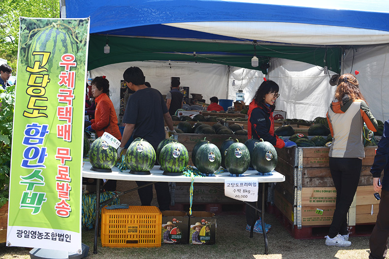 대도시 마트에서 인기 독차지하는 경남 수박