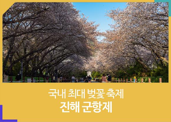 국내 최대의 벚꽃 축제 진해 군항제의 파일 이미지