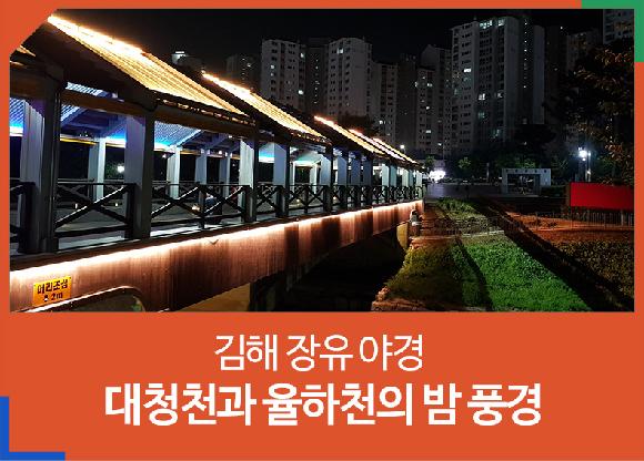 김해 장유의 대청천과 율하천의 밤 풍경의 파일 이미지