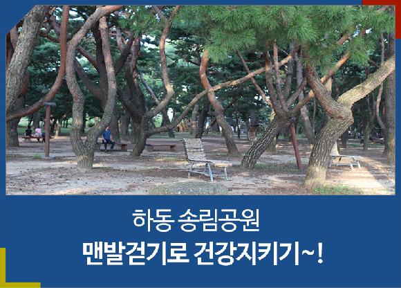 하동 송림공원 맨발걷기로 건강지키기~!의 파일 이미지
