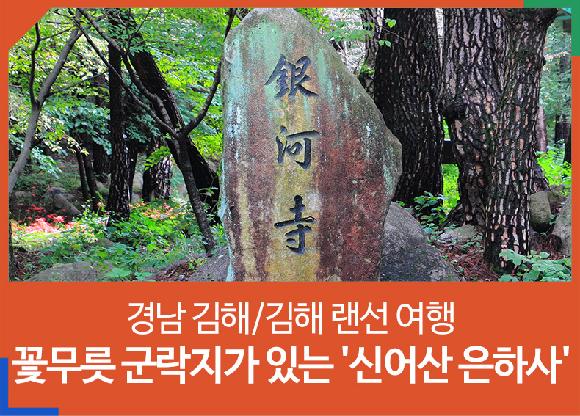 [경남 김해/김해 랜선 여행] 꽃무릇 군락지가 있는 신어산 은하사의 파일 이미지