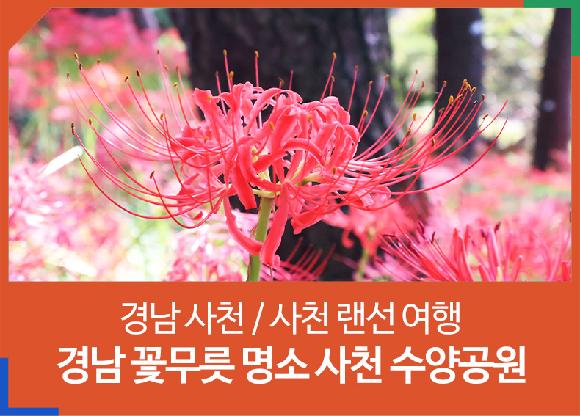 [경남 사천 / 사천 랜선 여행] 경남 꽃무릇 명소 사천 수양공원(사천읍성)의 파일 이미지