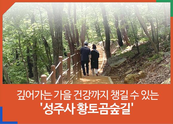[행복한 여행]걷고 싶은 길…깊어가는 가을 건강까지 챙길 수 있는 성주사 황토곰숲길의 파일 이미지