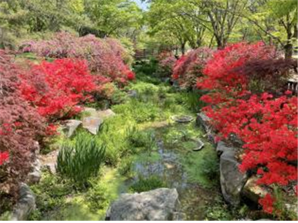 경남수목원의 봄(수생식물원)의 파일 이미지