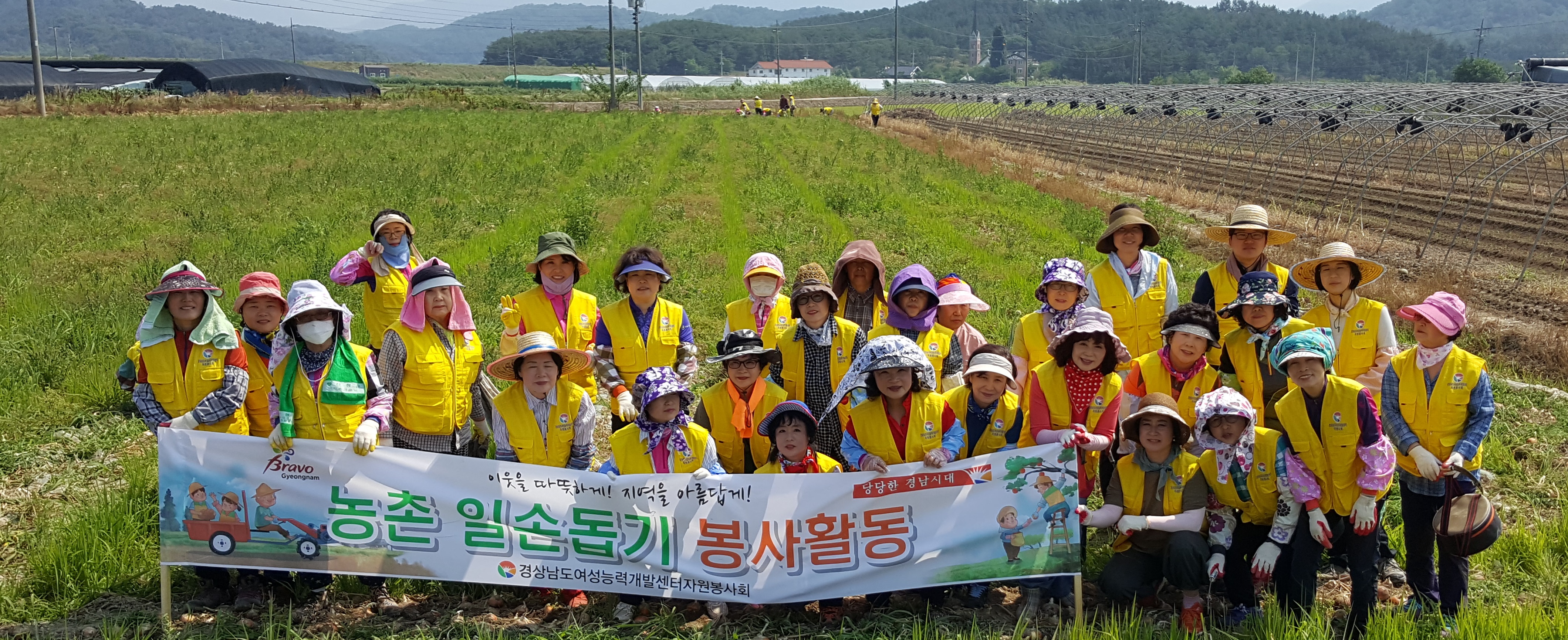 자원봉사회, 농촌일손돕기(양파 캐기)의 파일 이미지