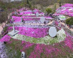생초조각공원 꽃잔디축제