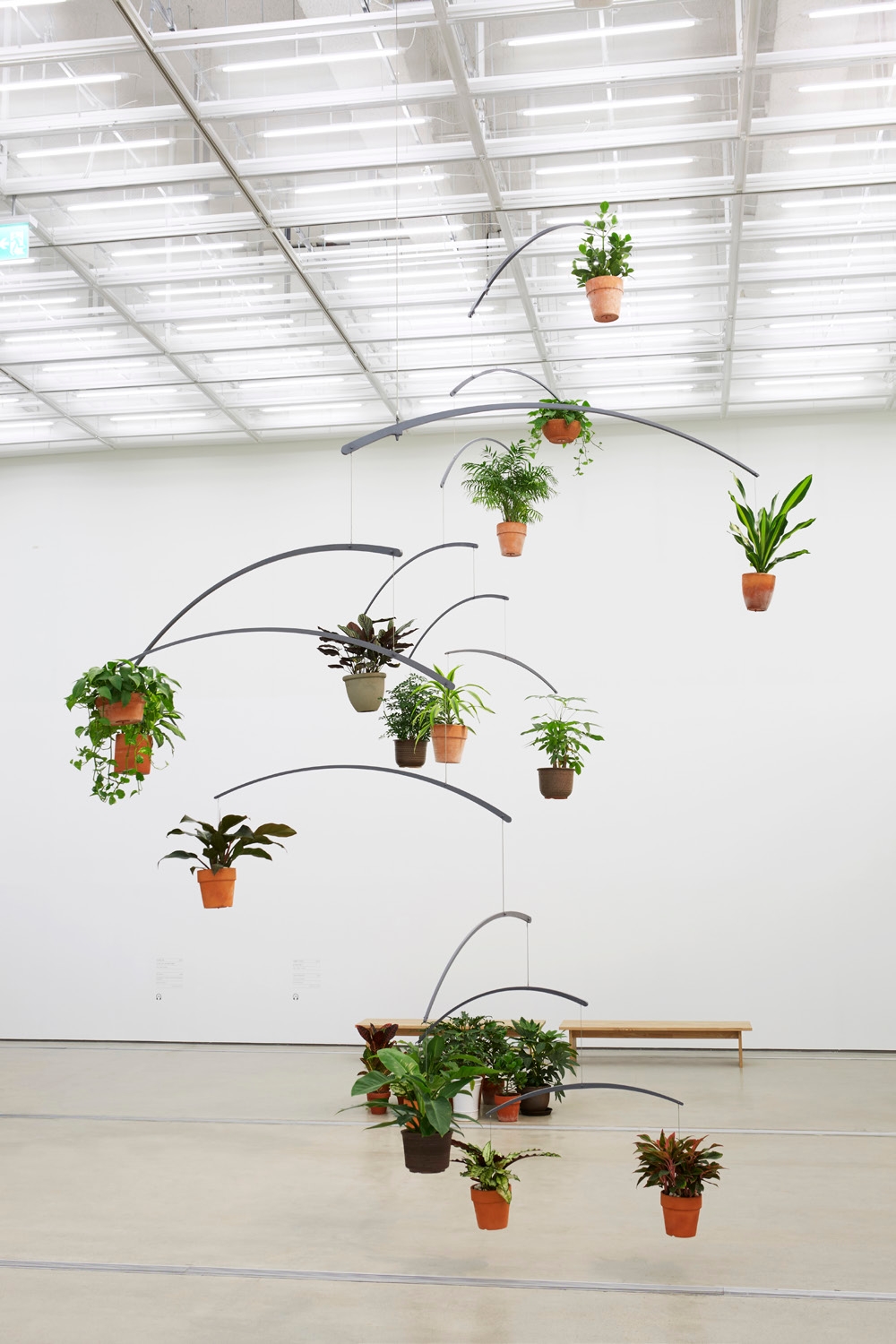 안규철,식물의시간II,TimeofPlantsII,2015,Steel,wires,andplants,700x500x500cm.jpg